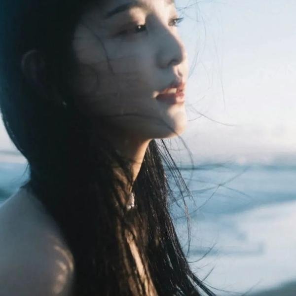 飞燕金枪
